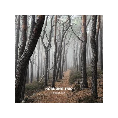 HORNUNG TRIO - STRUKTUREN - CD