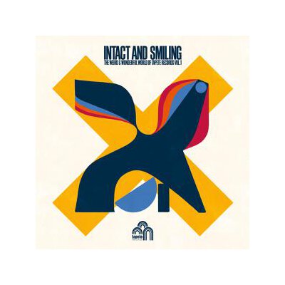 VARIOUS - INTACT AND SMILING - THE WEIRD & WONDERFUL WORLD OF TAP - CD