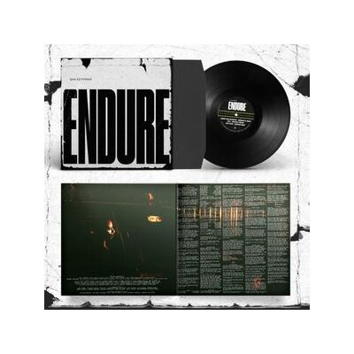 SPECIAL INTEREST - ENDURE - LP