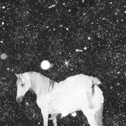 BLACK LIPS - APOCALYPSE LOVE - LTD COL. DELUXE ED. - LP