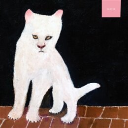 DUSTER - DUSTER (GHOULISH TRANSLUCENT VINYL) - LP