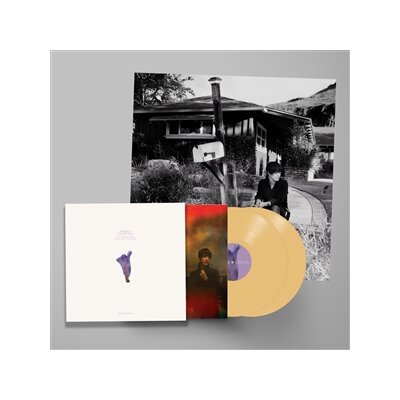 VAN ETTEN, SHARON - WEVE BEEN GOING ABOUT THIS ALL WRONG -DELUXE EDITION- - LP