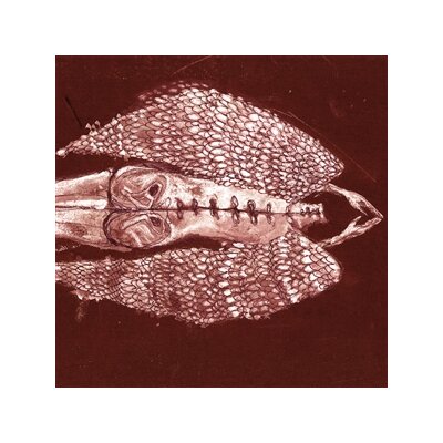 CERBERUS SHOAL - HOMB (ANNIVERSARY EDITION) - LP