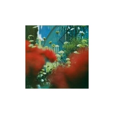 PULLED APART BY HORSES - THE HAZE (2022 REPRESS) - LP