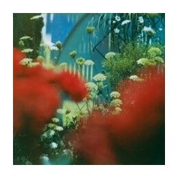 PULLED APART BY HORSES - THE HAZE (2022 REPRESS) - LP