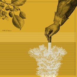 TAPE - RIDEAU (REMASTERED) - LPD