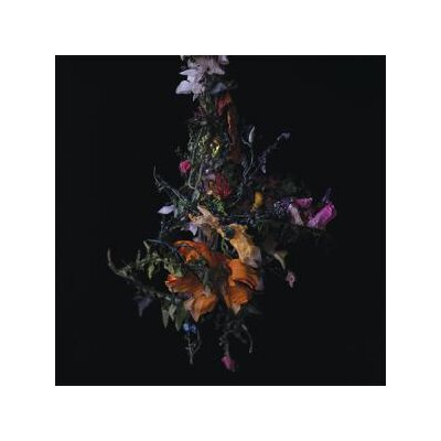 BIG|BRAVE - NATURE MORTE - CD