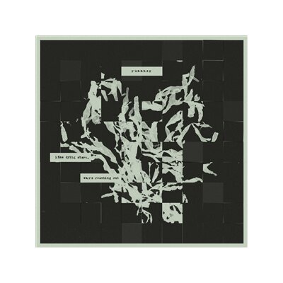 RUNNNER - LIKE DYING STARS, WERE REACHING OUT (CLOUDY CLEAR LP) - LP
