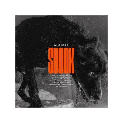 ALGIERS - SHOOK - CD