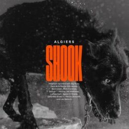 ALGIERS - SHOOK - CD
