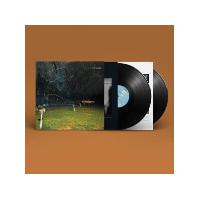 YO LA TENGO - THIS STUPID WORLD - LP