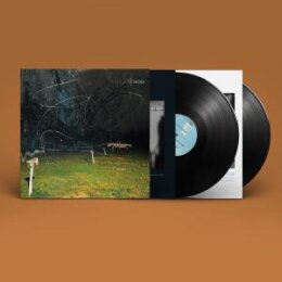 YO LA TENGO - THIS STUPID WORLD - LP