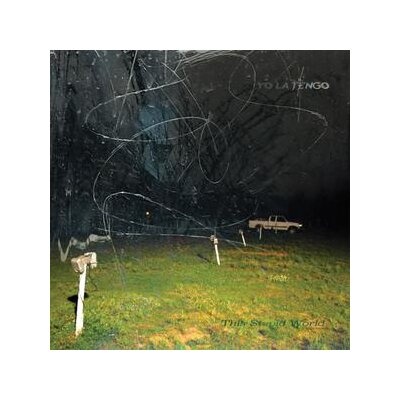 YO LA TENGO - THIS STUPID WORLD - CD