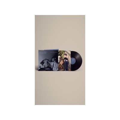 BELLE AND SEBASTIAN - LATE DEVELOPERS - LP