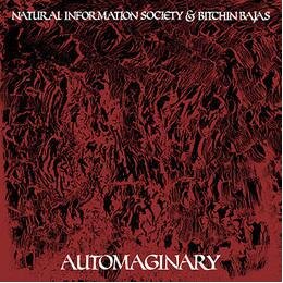 NATURAL INFORMATION SOCIETY & BITCHIN BAJAS -...