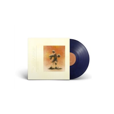 ELUVIUM - (WHIRRING MARVELS IN) CONSENSUS REALITY -OCEAN VINYL- - LP