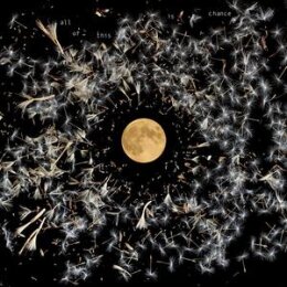 ONEILL, LISA - ALL OF THIS CHANCE - CD