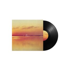 SHAUF, ANDY - NORM - LP