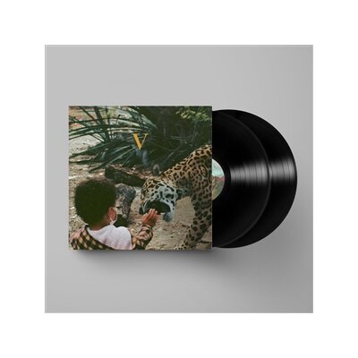 UNKNOWN MORTAL ORCHESTRA - V - LP