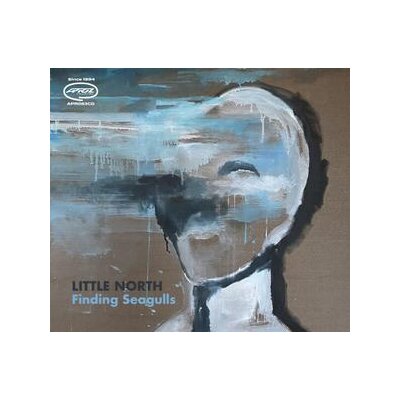 LITTLE NORTH - FINDING SEAGULLS - CD