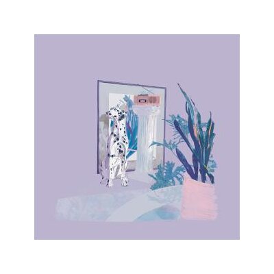 ABRACADABRA - SHAPES & COLORS - CD