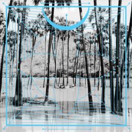 FOUR TET - PINK (LTD REPRESS) - LPD