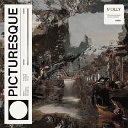 MOLLY - PICTURESQUE - LP