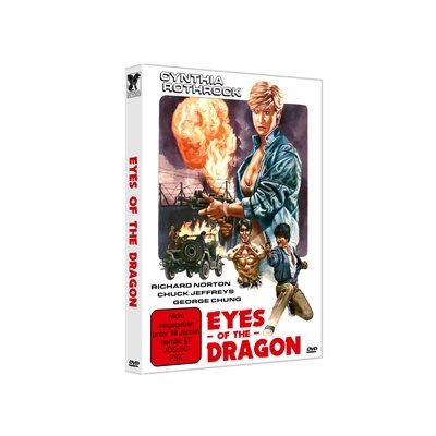 ROTHROCK, CYNTHIA & NORTON, RICHARD & FONG, LEO - EYES OF THE DRAGON - COVER C - DVM