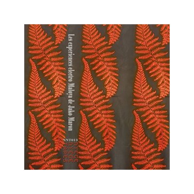 MARON, JAKO - THE ELECTRO MALOYA EXPERIMENTS OF JAKO MARON - LP