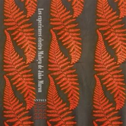 MARON, JAKO - THE ELECTRO MALOYA EXPERIMENTS OF JAKO...