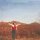 FIDDLEHEAD - SPRINGTIME AND BLIND (CLEAR PINK VINYL) - LP