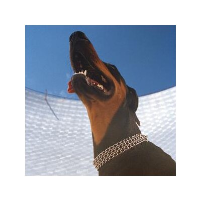 OVERMONO - GOOD LIES - CD