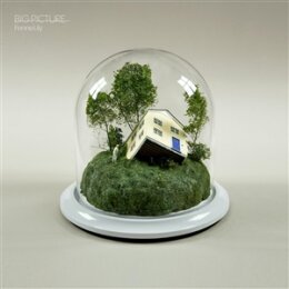 LILY, FENNE - BIG PICTURE -ULTRAMARINE VINYL- - LP