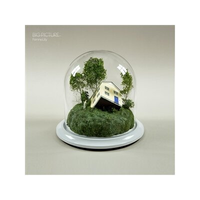 LILY, FENNE - BIG PICTURE - CD