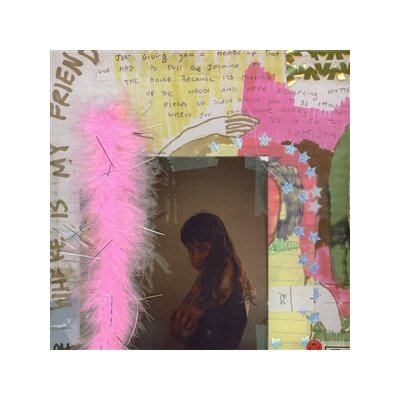 WEDNESDAY - I WAS TRYING TO DESCRIBE YOU TO SOMEONE - LP