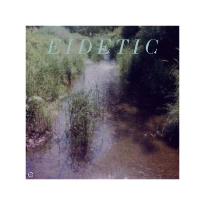 PIOULARD, BENOIT - EIDETIC - LPD