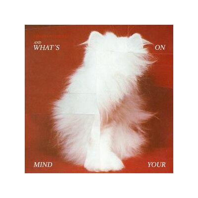 TALKING TO TURTLES - AND WHATS ON YOUR MIND - LP