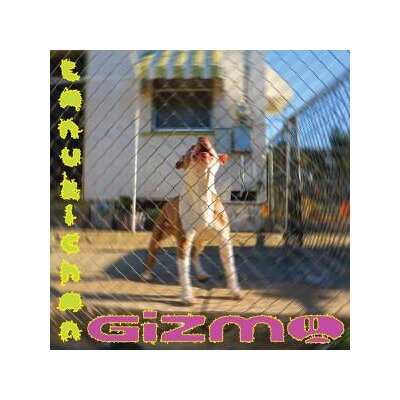 TANUKICHAN - GIZMO - LPD