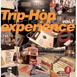 VARIOUS - TRIP HOP EXPERIENCE 01 - CD