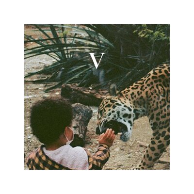 UNKNOWN MORTAL ORCHESTRA - V - CD