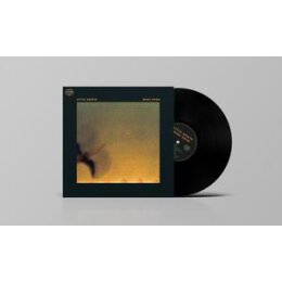 LITTLE NORTH - WILD OPEN - LP