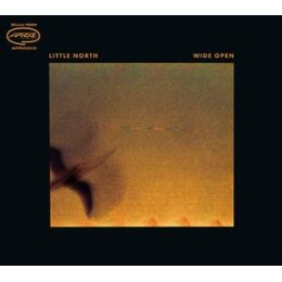 LITTLE NORTH - WILD OPEN - CD