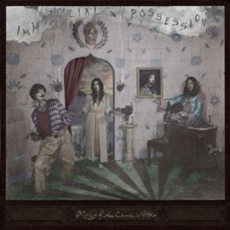 IMMATERIAL POSSESSION - MERCY OF THE CRANE FOLK - LP