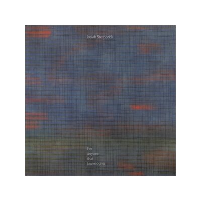 STEINBRICK, JOSIAH - FOR ANYONE THAT KNOWS YOU - LP