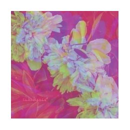 FLATWAVES - NUMBRA - LP