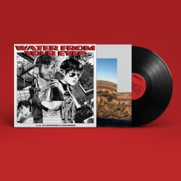 WATER FROM YOUR EYES - EVERYONES CRUSHED - LP