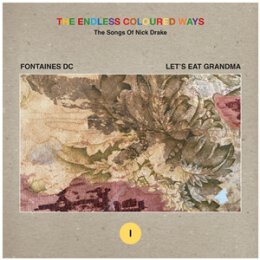 FONTAINES D.C. / LETS EAT GRANDMA - THE ENDLESS COLOURED...