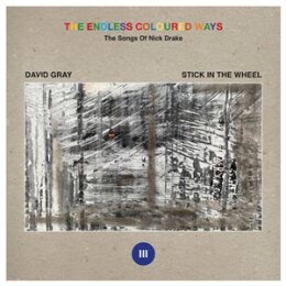 GRAY, DAVID / STICK IN THE WHEEL - THE ENDLESS COLOURED...