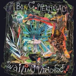 COPPERHEAD, BEN - WAILING VIRIDESCENCE - LP