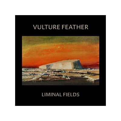 VULTURE FEATHER - LIMINAL FIELDS (BONE COLOURED VINYL) - LP